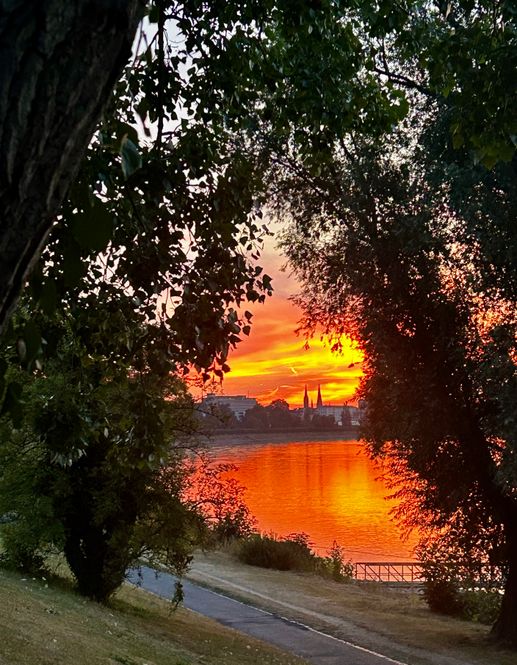 Een foto toegevoegd aan een locatie