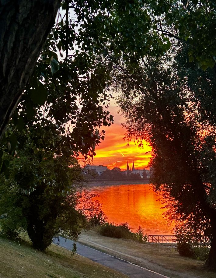 WoMo Stellplatz Bonn/Rhein