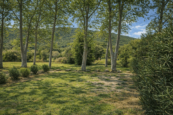 Vista Mare