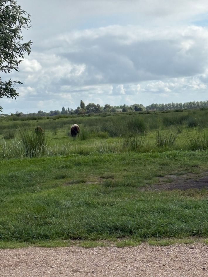 SVR-Boerencamping Swarthoeve