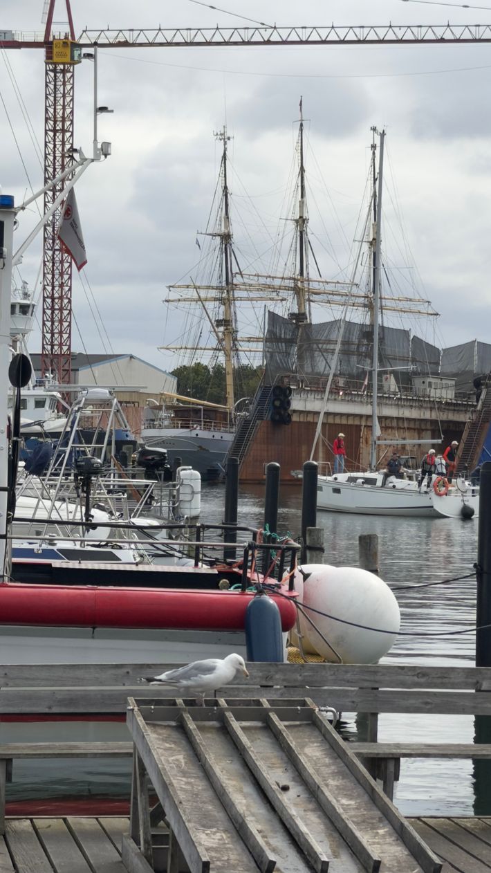 Assens Marina