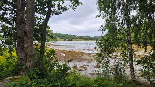 Added a photo to a location