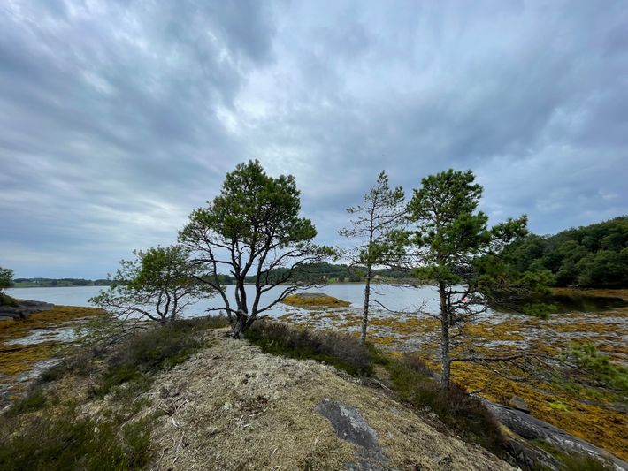 Omfarøya