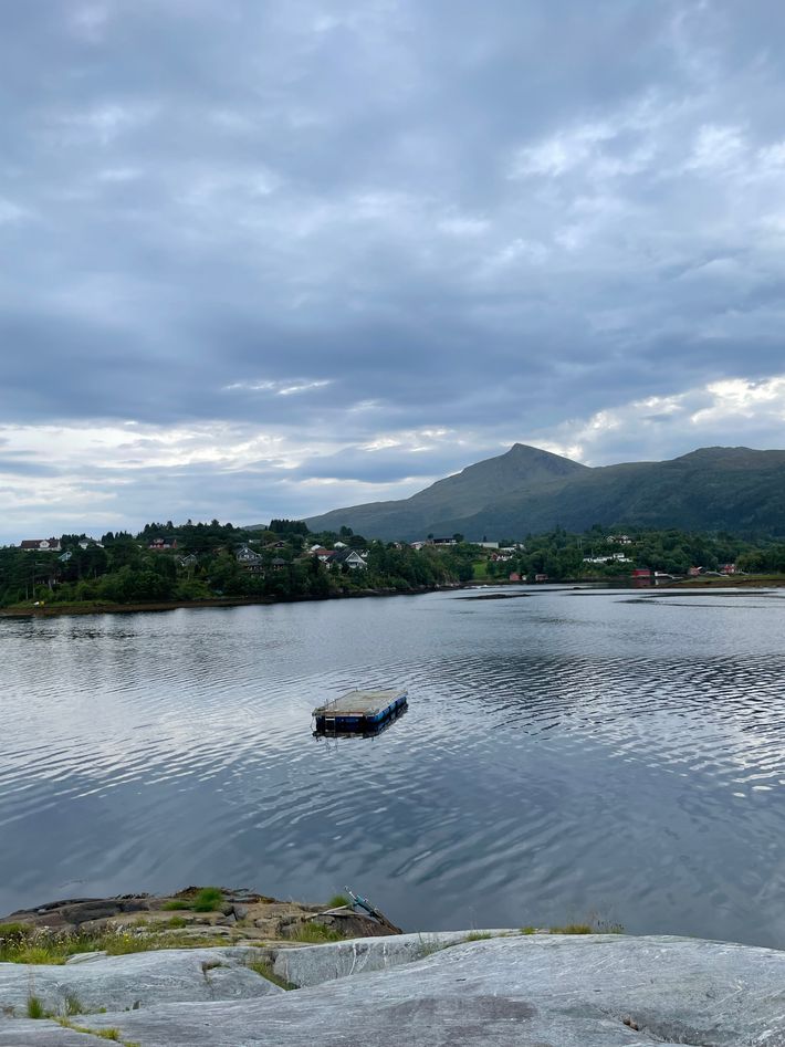 Omfarøya