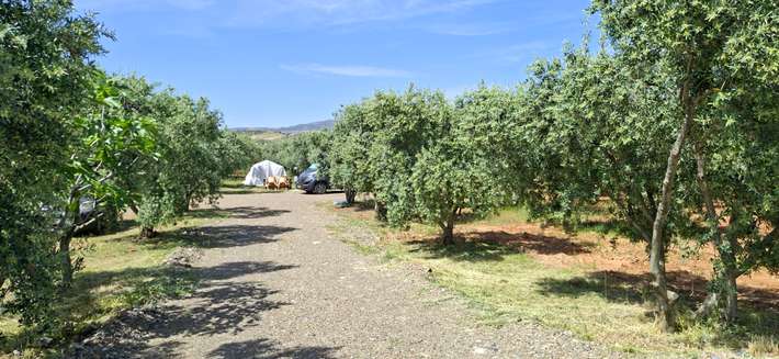 CamperGarden